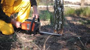 Best Utility Line Clearance  in Commerce, CA